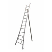 Echelle d'arbre fruitier Eurostairs échelle penchée courbée 1x12 échelons