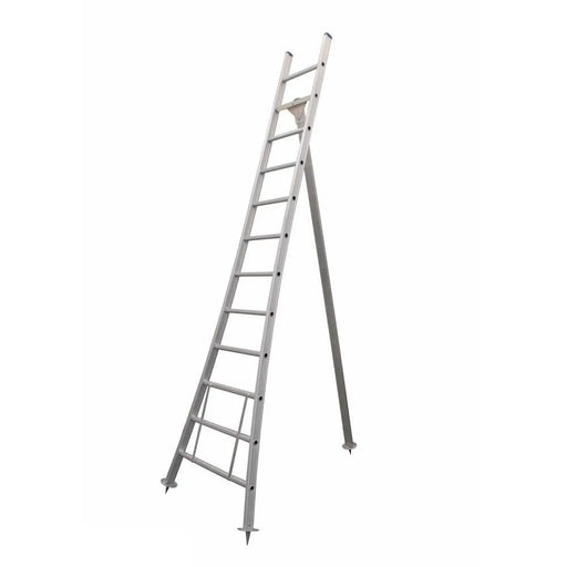 Eurostairs Obstbaumleiter Anlegeleiter gebogen 1x12 Sprossen - Gerüstexpress.de