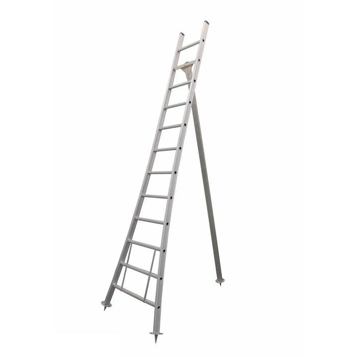 Eurostairs Obstbaumleiter Anlegeleiter gebogen 1x12 Sprossen - Gerüstexpress.de