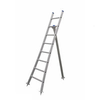 Échelle pour arbres fruitiers Eurostairs simple courbée 1x8 échelons