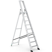 Expert Ladder | 9 Steps | One-Sided Access 