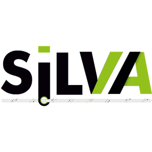 Kratos SILVA 1 - Rückhalteverbindungsmittel Kernmantelseil (1 m) - Gerüstexpress.de