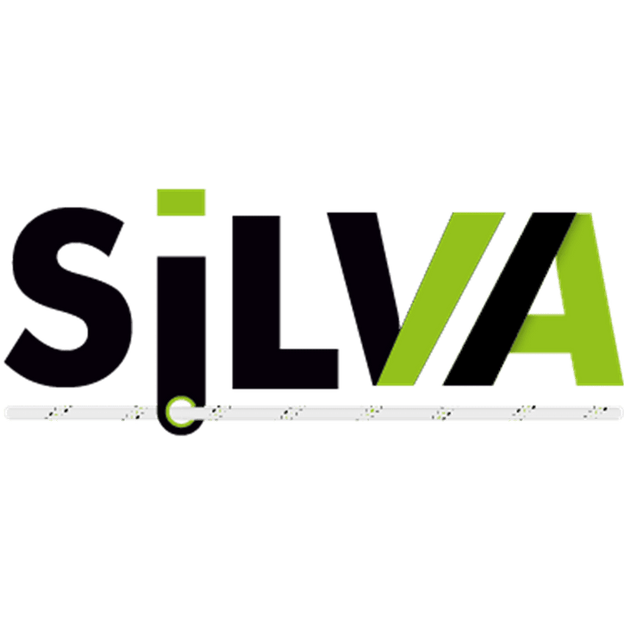 Kratos SILVA 1 - Rückhalteverbindungsmittel Kernmantelseil (1 m) - Gerüstexpress.de