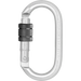 Kratos Stahl - Karabiner mit Schraubverschluss - Keylock Version - Gerüstexpress.de