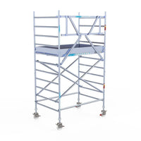 Rollgerüst Eurogerüst Original 135x190 4,2m Arbeitshöhe Carbonplattform gegen Fassade