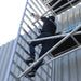 Rollgerüst Euroscaffold Basic 135x305 9,2m Arbeitshöhe an der Fassade - Gerüstexpress.de