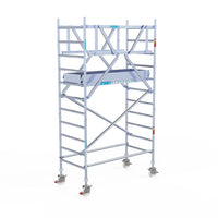 Rollgerüst Euroscaffold Professionell 90x190 4,2m Arbeitshöhe Carbonplattform freistehend